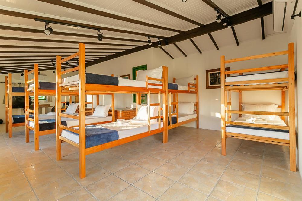 Florianópolis Abaporu Art Hostel מראה חיצוני תמונה